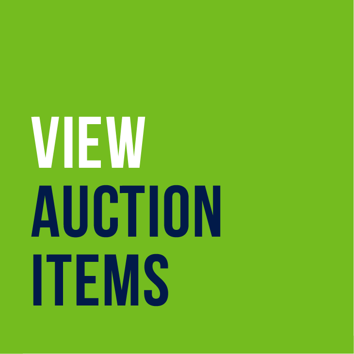 View Auction Items